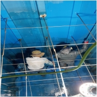 전국물탱크보수 PC 갤러리 11