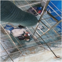 전국물탱크보수 PC 갤러리 7